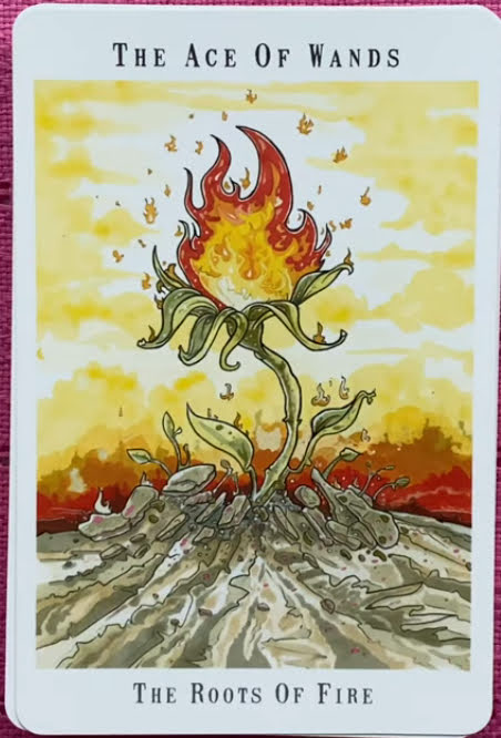 Next World Tarot